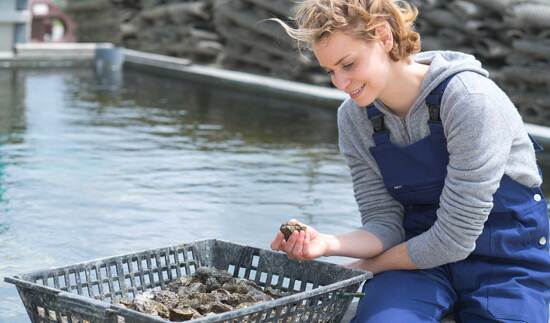oyster-farming-norovirus-assay-primerdesign-workflow-onsite-testing.jpg